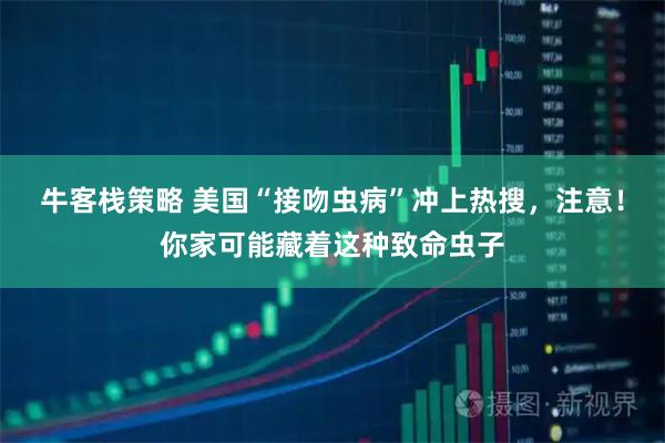 牛客栈策略 美国“接吻虫病”冲上热搜，注意！你家可能藏着这种致命虫子