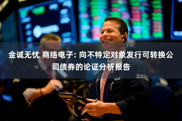 金诚无忧 商络电子: 向不特定对象发行可转换公司债券的论证分析报告