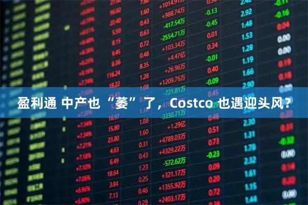 盈利通 中产也 “萎” 了，Costco 也遇迎头风？