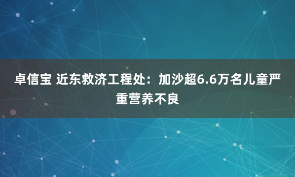 卓信宝 近东救济工程处：加沙超6.6万名儿童严重营养不良