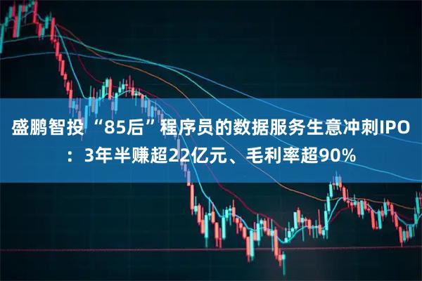 盛鹏智投 “85后”程序员的数据服务生意冲刺IPO：3年半赚超22亿元、毛利率超90%