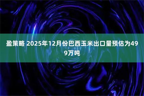 盈策略 2025年12月份巴西玉米出口量预估为499万吨