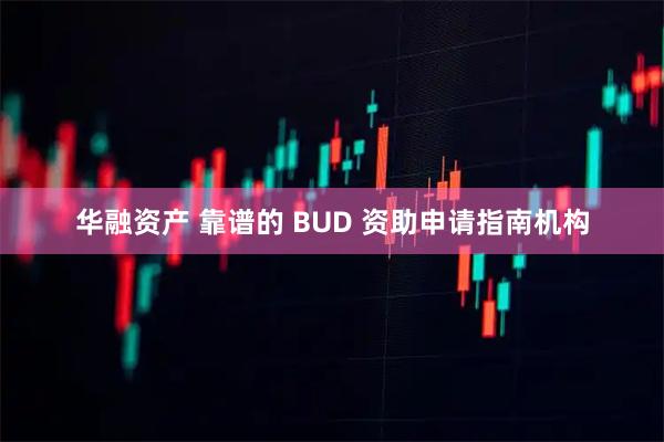 华融资产 靠谱的 BUD 资助申请指南机构