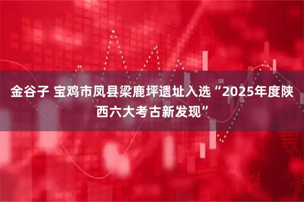 金谷子 宝鸡市凤县梁鹿坪遗址入选“2025年度陕西六大考古新发现”