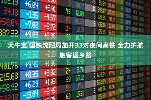 天牛宝 国铁沈阳局加开33对夜间高铁 全力护航旅客返乡路