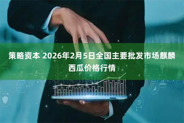 策略资本 2026年2月5日全国主要批发市场麒麟西瓜价格行情