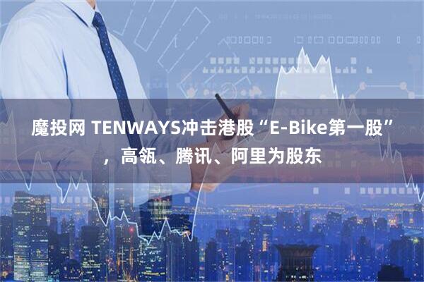 魔投网 TENWAYS冲击港股“E-Bike第一股”，高瓴、腾讯、阿里为股东